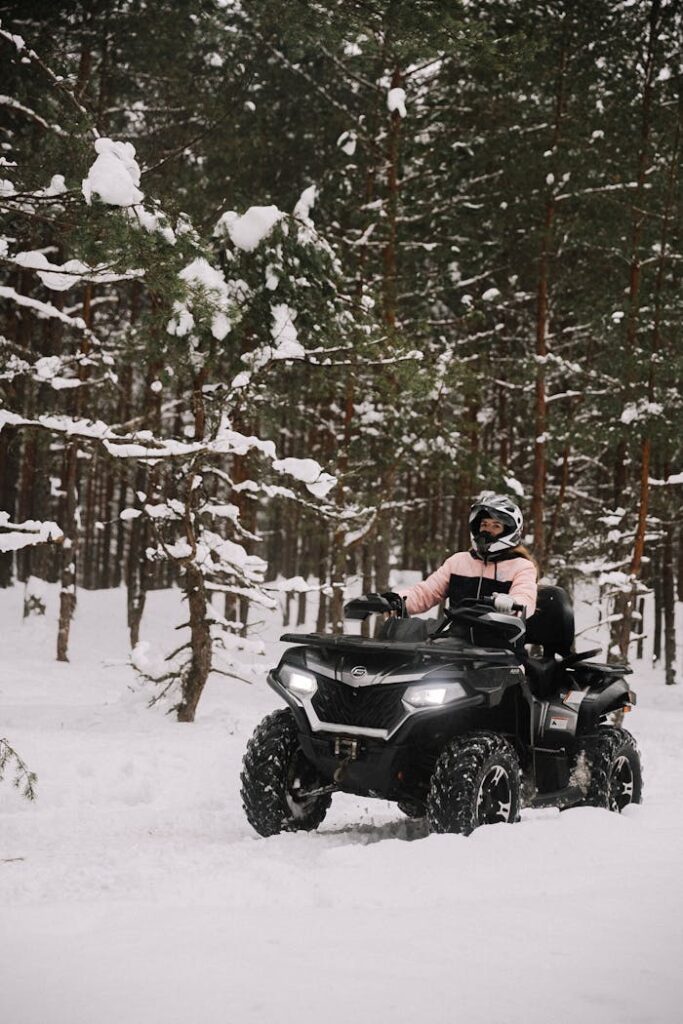 pexels photo 19552016.jpeg